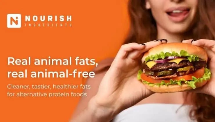 Nourish Ingredients Raises $11M as Plant-Based Alt Fats Continue to Thrive